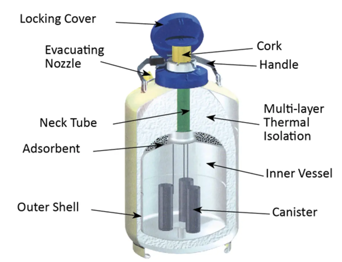 The Comprehensive Guide to Liquid Nitrogen Biological Containers: Exploring Their Importance and Uses 1 Guide to Liquid Nitrogen Biological Containers Guide-to-Liquid-Nitrogen-Biological-Containers